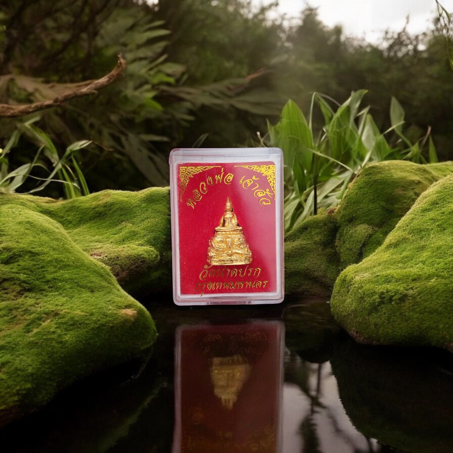 Luang Por Jao Sua Buddha Amulet – Wat Nak Prok – Wealth & Protection Blessings (7)-Photoroom