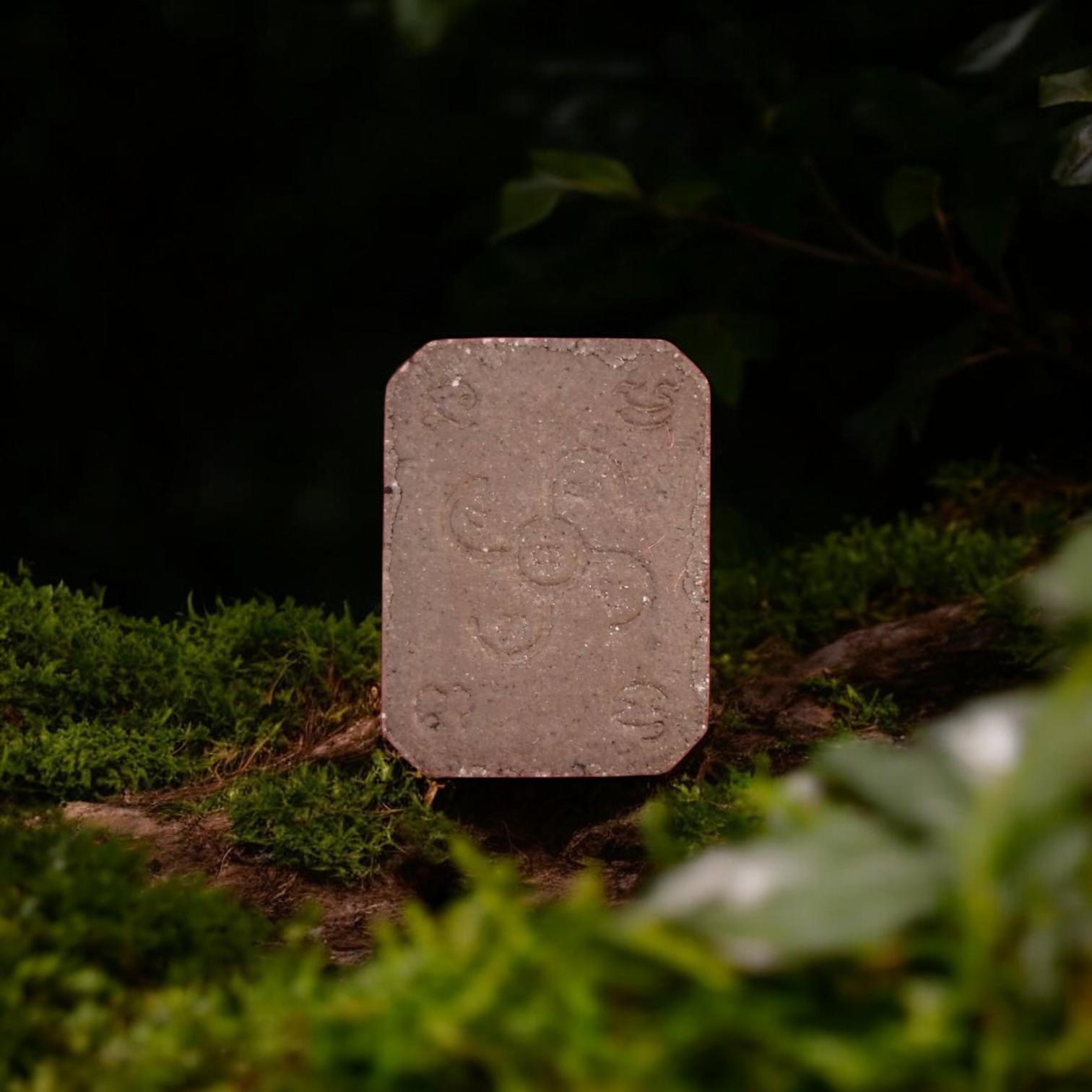 Phra Nak Prok Naga Buddha Amulet – Brown Clay – The Millionaire Series, Wat Nak Prok (4)-Photoroom