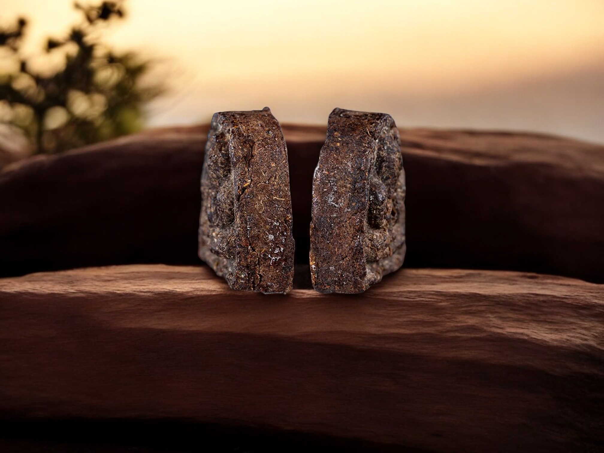 Phra Pidta Nak Klam Klang - back with Yantra, year 1964, herbal powder material, Than Chao Khun Sri, Ang Sila Temple, Chonburi 3-Photoroom