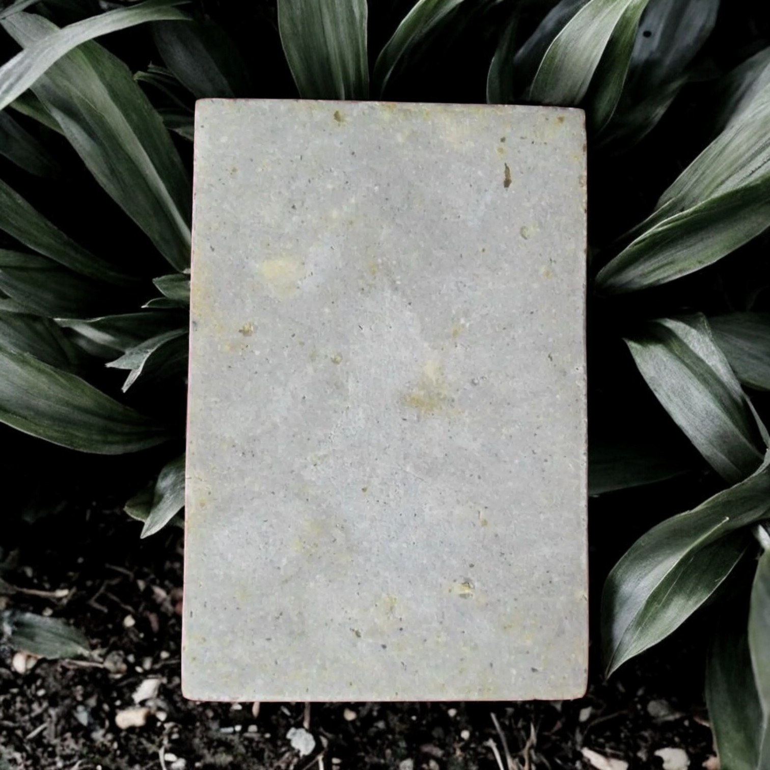 Phra Somdej, Luang Pho Kuay, 1969, powder material, Ratchanadda Temple with Authenticity Card 1-Photoroom (1)