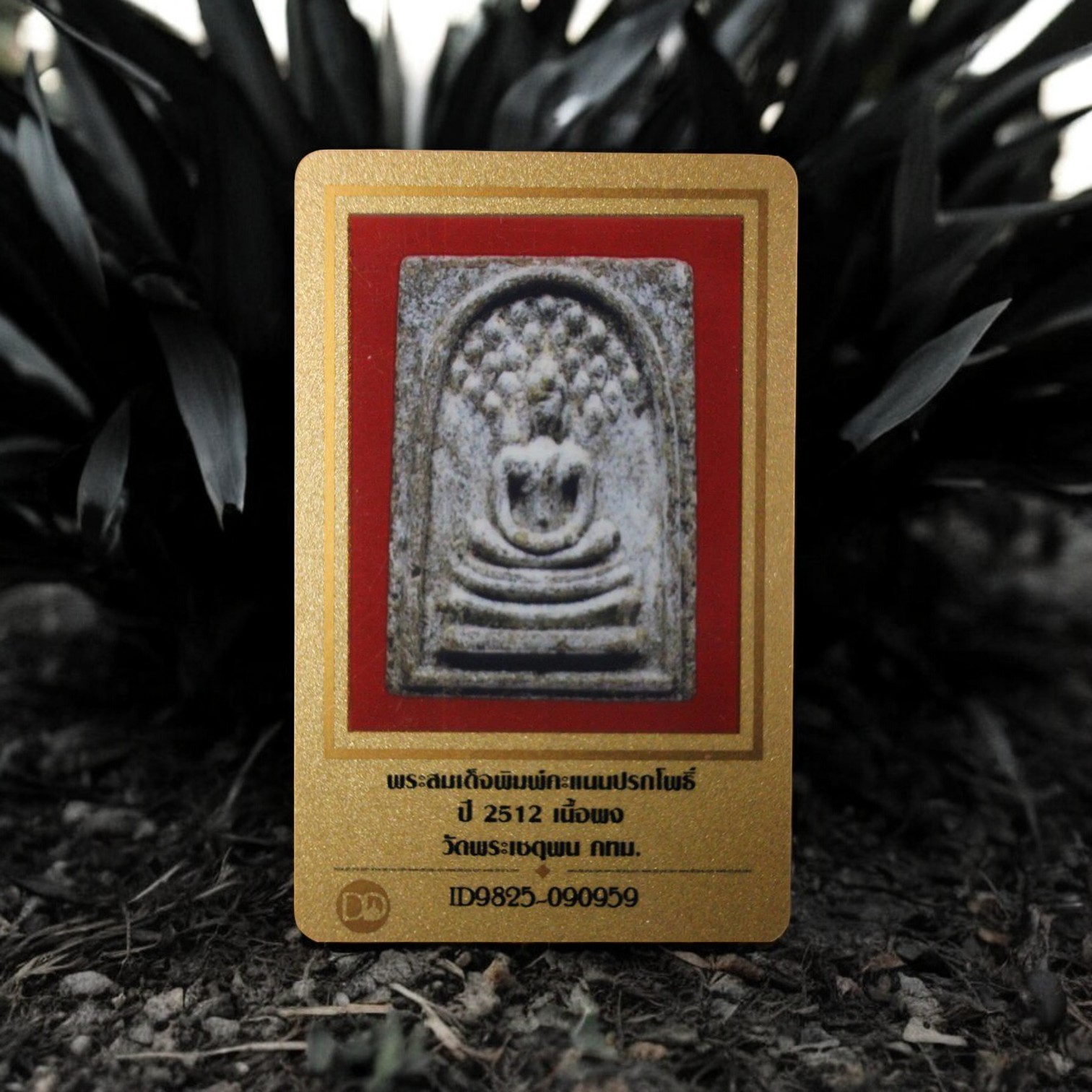 Somdej Prak Bodhi Khanaen, Luang Pho Kuay, Year 1969, Phra Chetuphon Temple, Year 12 with Certificate 3-Photoroom